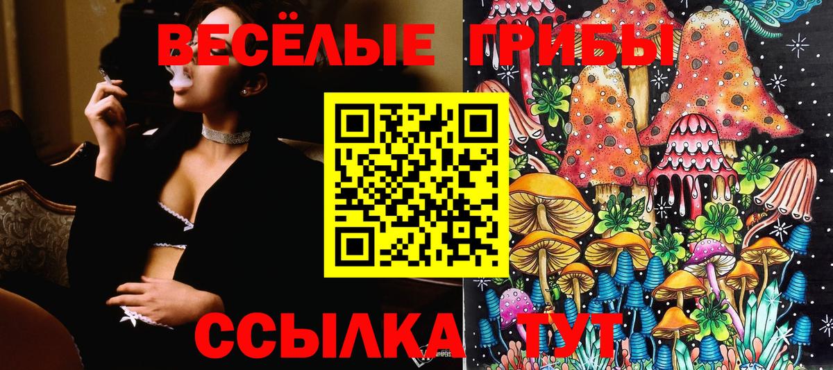 наркошоп  Вход с VPN  Коряжма  Галлюциногенные грибы Cubensis 