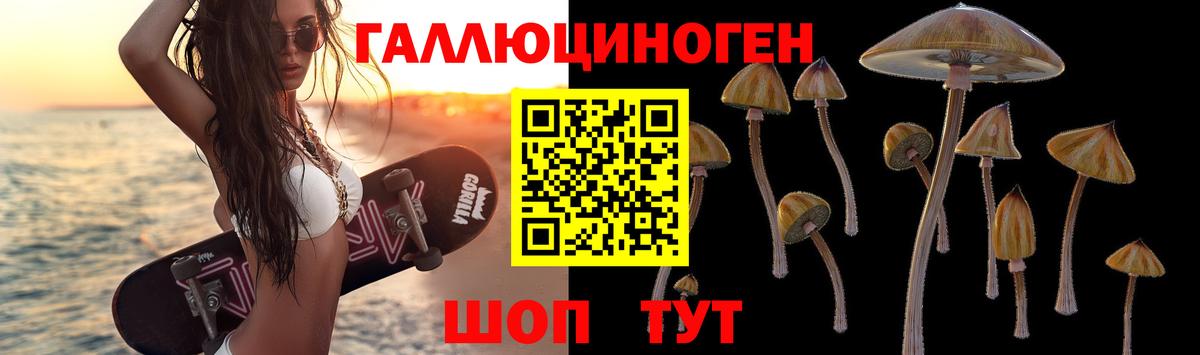 Галлюциногенные грибы Cubensis Коряжма