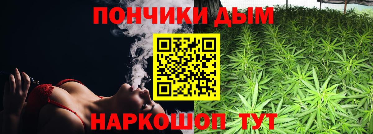 Каннабис Amnesia Коряжма